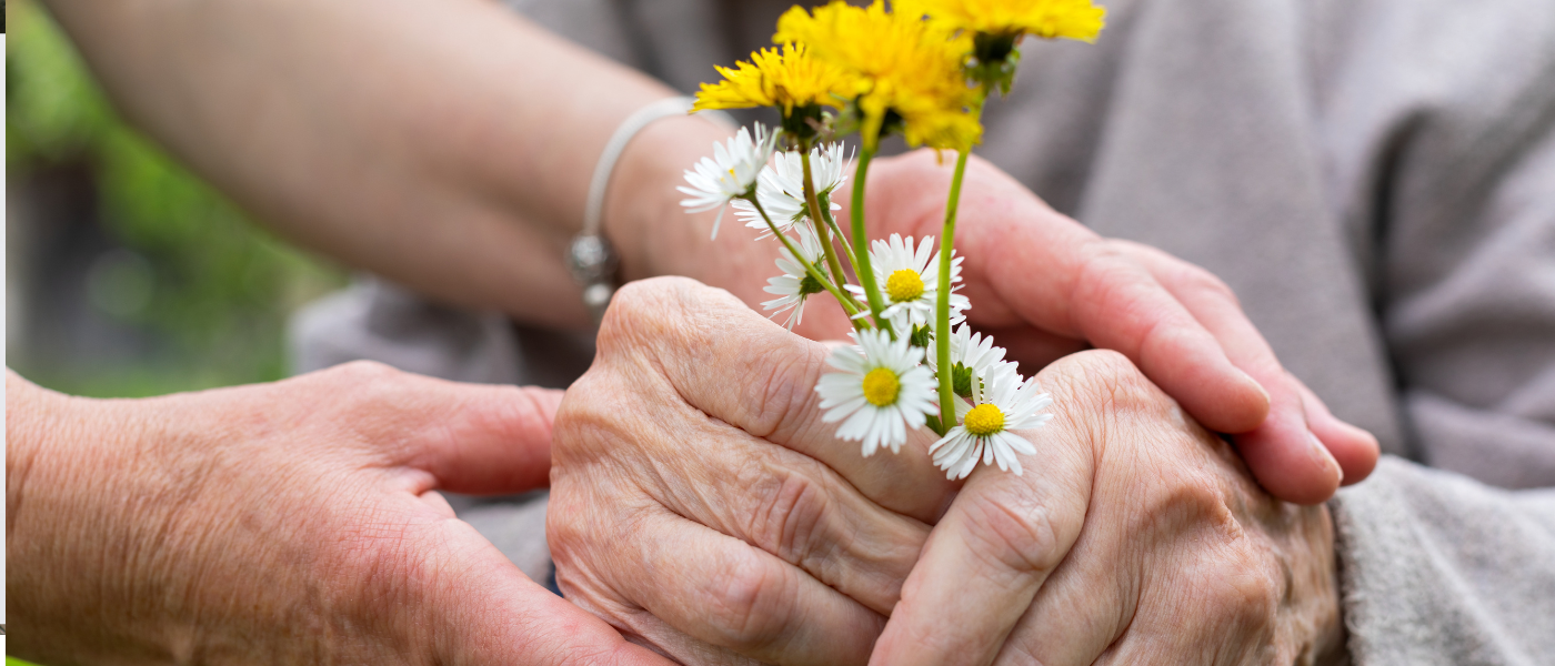 Kein Titel (1600 x 600 px) (1400 x 800 px)